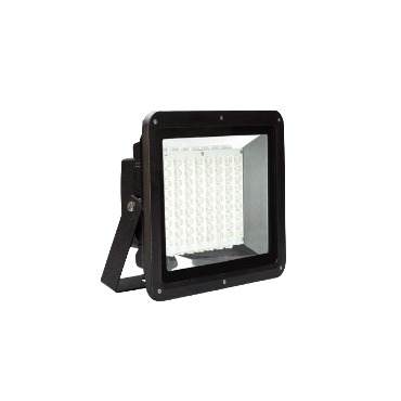 LED Flood Light